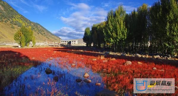 桑堆紅草地