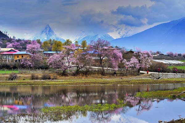 波密·桃花溝風(fēng)景區(qū).jpg