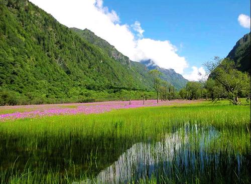 獻(xiàn)給媽媽的愛 帶上媽媽一起去旅行