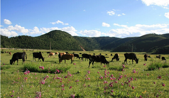 雕刻花樣的青春年華 最美畢業(yè)旅行地推薦:稻城亞丁(五)